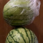 2025-7 石﨑哲治さまより